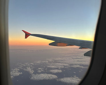 Before You Land